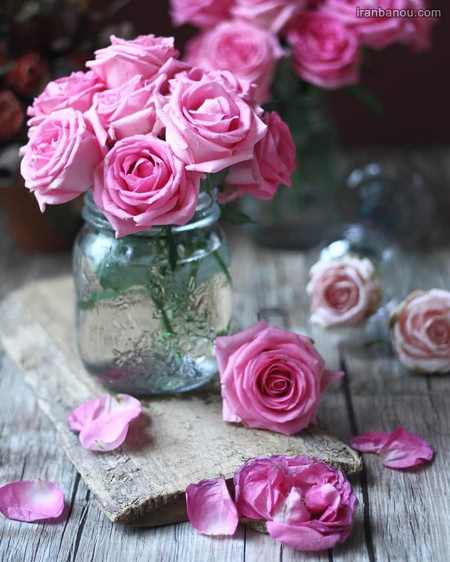 روژینا شیرینه سه وزه